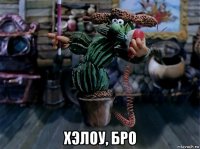  хэлоу, бро