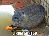  в ком блять?