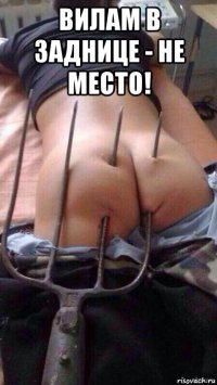 вилам в заднице - не место! 