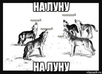 на луну на луну