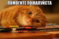 помогите пожалуйста 