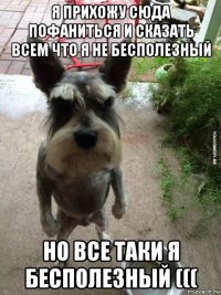 я прихожу сюда пофаниться и сказать всем что я не бесполезный но все таки я бесполезный (((