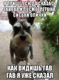 я пришел сюда сказать гав гав и посмотреть на сиськи олички как видишь гав гав я уже сказал