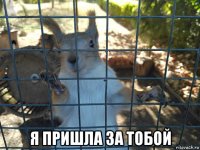  я пришла за тобой
