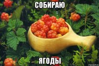 собираю ягоды