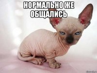нормально же общались 