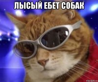 лысый ебет собак 