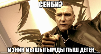 сенби? мэнин мышыгымды пыш деген