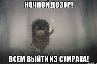 ночной дозор! всем выйти из сумрака!
