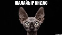 жалайыр андас 