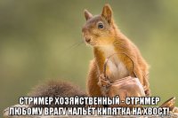  стример хозяйственный - стример любому врагу нальёт кипятка на хвост!