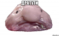 дратути 