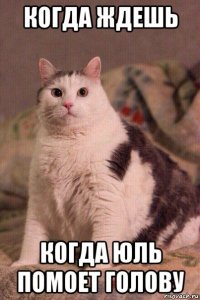 когда ждешь когда юль помоет голову