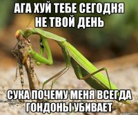 ага хуй тебе сегодня не твой день сука почему меня всегда гондоны убивает