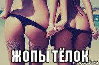  жопы тёлок