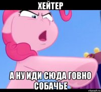 хейтер а ну иди сюда говно собачье