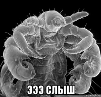  эээ слыш