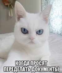  когда просят переделать документы