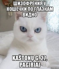 шизофрения у кошечки по глазкам видно kaštonų g. 27, pagiriai