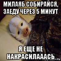 милаяб собирайся, заеду через 5 минут я еще не накрасилааась