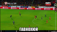  гавнохюй
