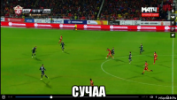  сучаа