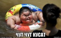  чут чут кусат