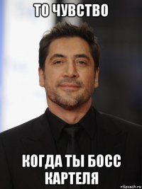 то чувство когда ты босс картеля