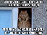 2017-11-29 когда котэ на высоте на всех он смотрит гордо теперь могу смотреть на всех, я с "наглой рыжей мордой"