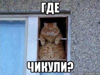 где чикули?
