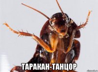  таракан-танцор