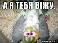 а я тебя віжу. 