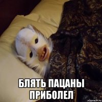  блять пацаны приболел