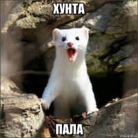 хунта пала