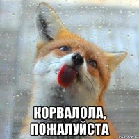  корвалола, пожалуйста