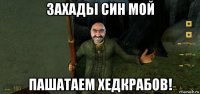 захадьі син мой пашатаем хедкрабов!