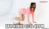  как нужно есть корм