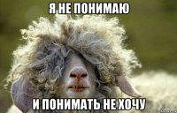 я не понимаю и понимать не хочу