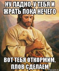 ну ладно, у тебя и жрать пока нечего вот тебя откормим, плов сделаем