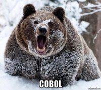 cobol