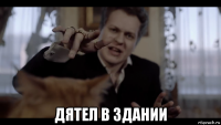  дятел в здании