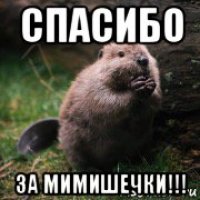 спасибо за мимишечки!!!