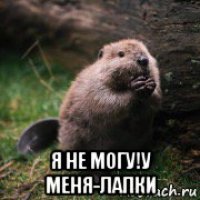  я не могу!у меня-лапки