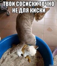 твои сосиски точно не для киски 