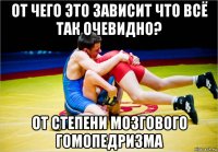 от чего это зависит что всё так очевидно? от степени мозгового гомопедризма