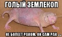 голый землекоп не болеет раком, он сам рак
