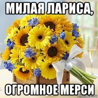 милая лариса, огромное мерси