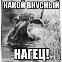 какой вкусный нагец!