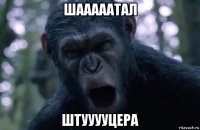 шааааатал штууууцера