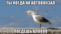 ты когда на автовокзал поедешь алоооо